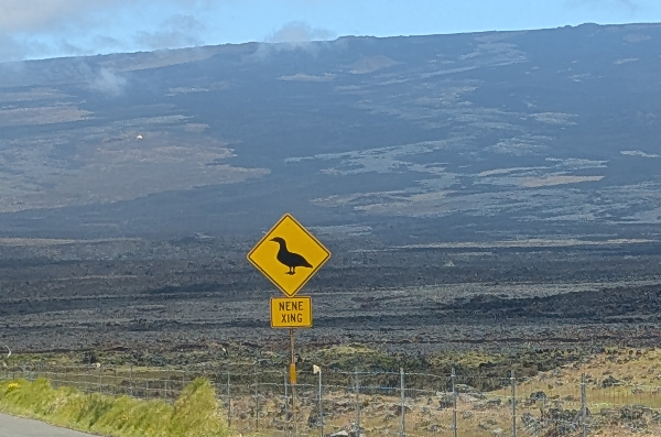 pic