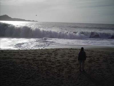 0_places/carmel_river_beach/crsb2.jpg