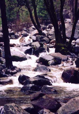Bridalveil stream