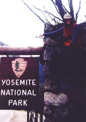 Shelley sign