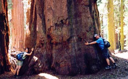 Tree huggers!